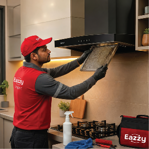 Full Home Sanitization